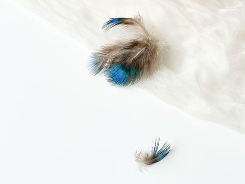 Decorative Peacock Feathers for Wax Seals