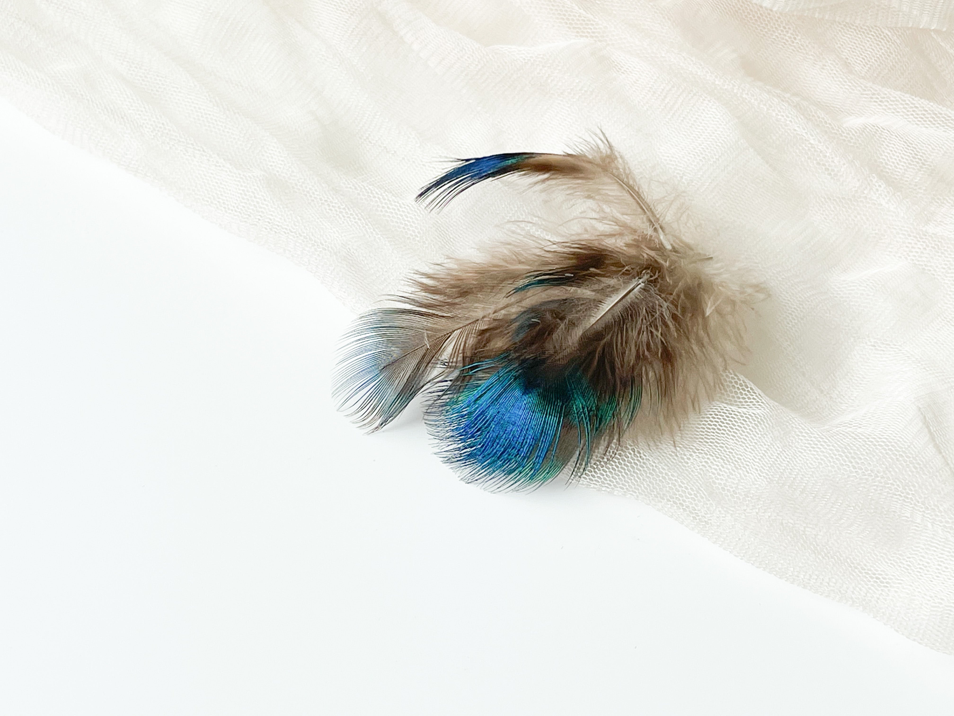 Decorative Peacock Feathers for Wax Seals