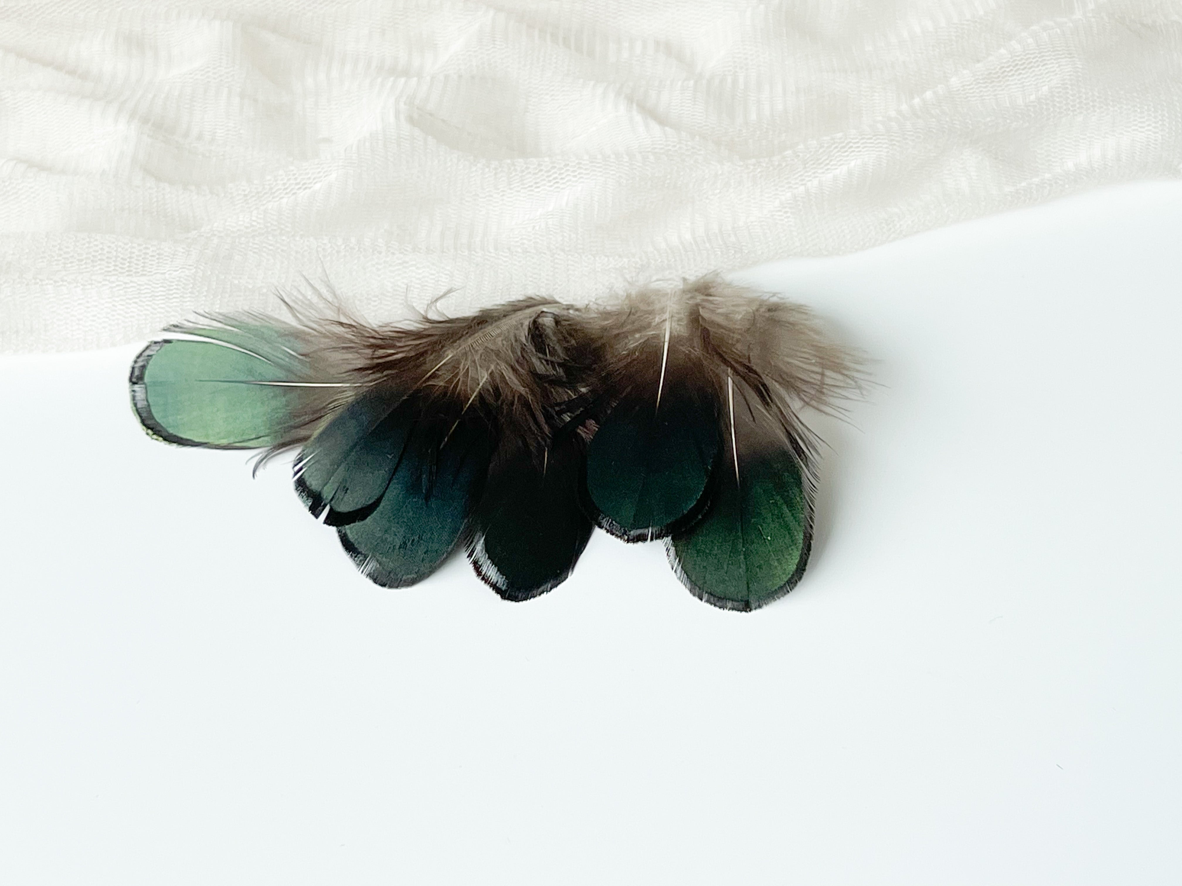 Decorative Green Feathers for Wax Seals