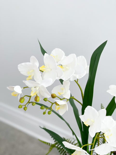 Artificial White Orchid Arrangement in Brown Pot
