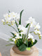 Artificial White Orchid Arrangement in Brown Pot