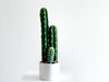 Everlasting Cactus - No.3