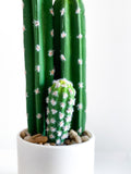 Everlasting Cactus - No.3