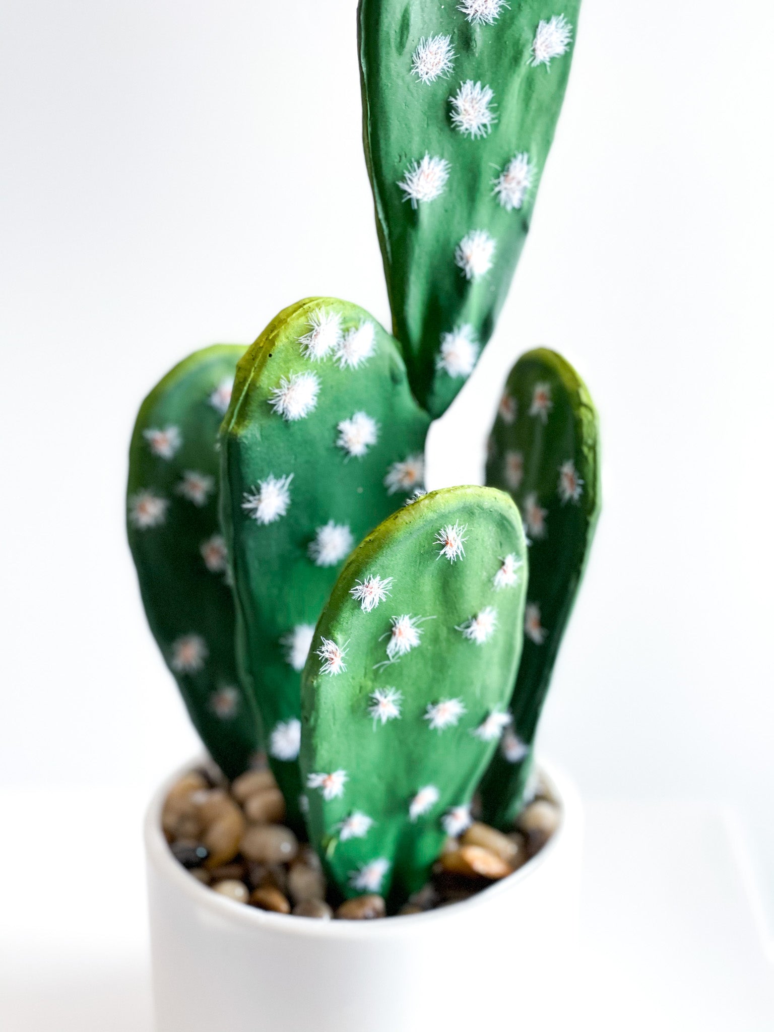 Everlasting Cactus No.4