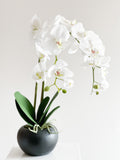Orchid Flower Arrangement in Round Flower Pot