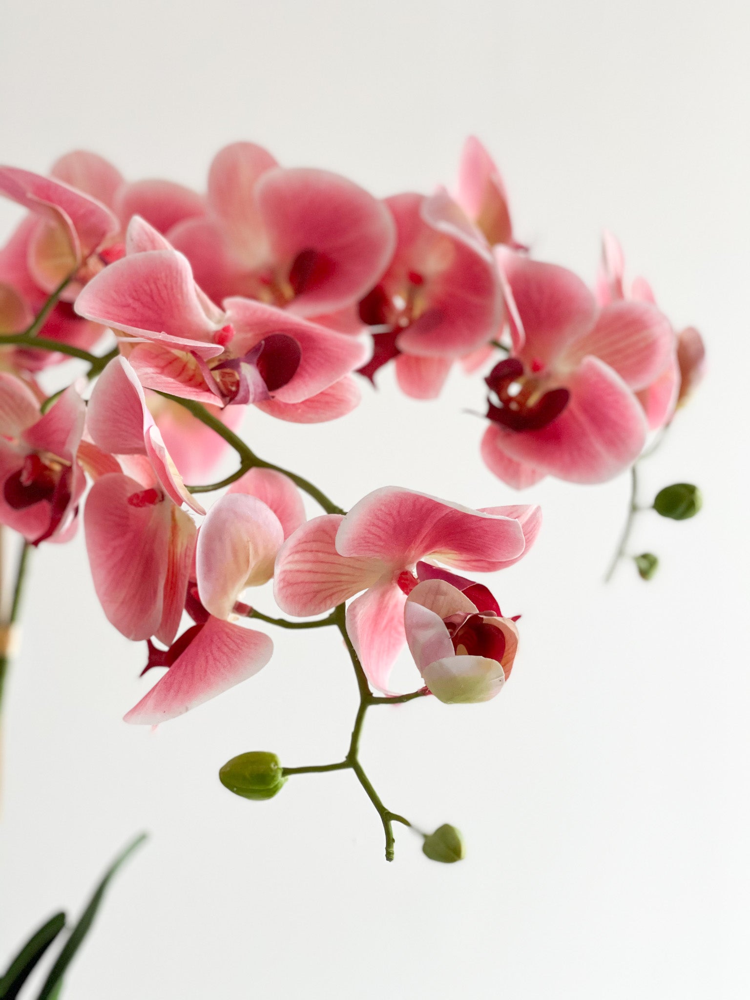 Orchid Flower Arrangement in Round Flower Pot