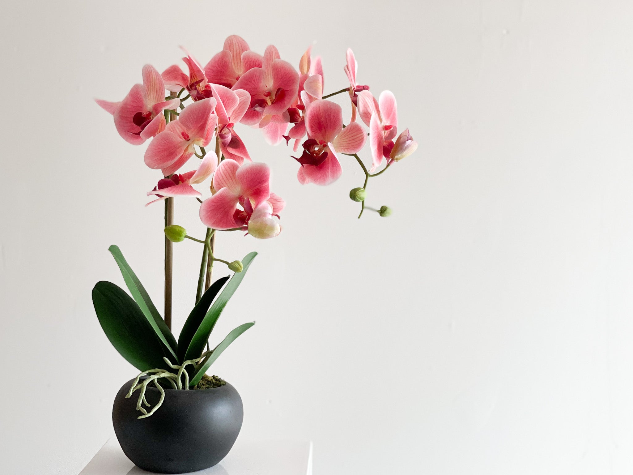 Orchid Flower Arrangement in Round Flower Pot