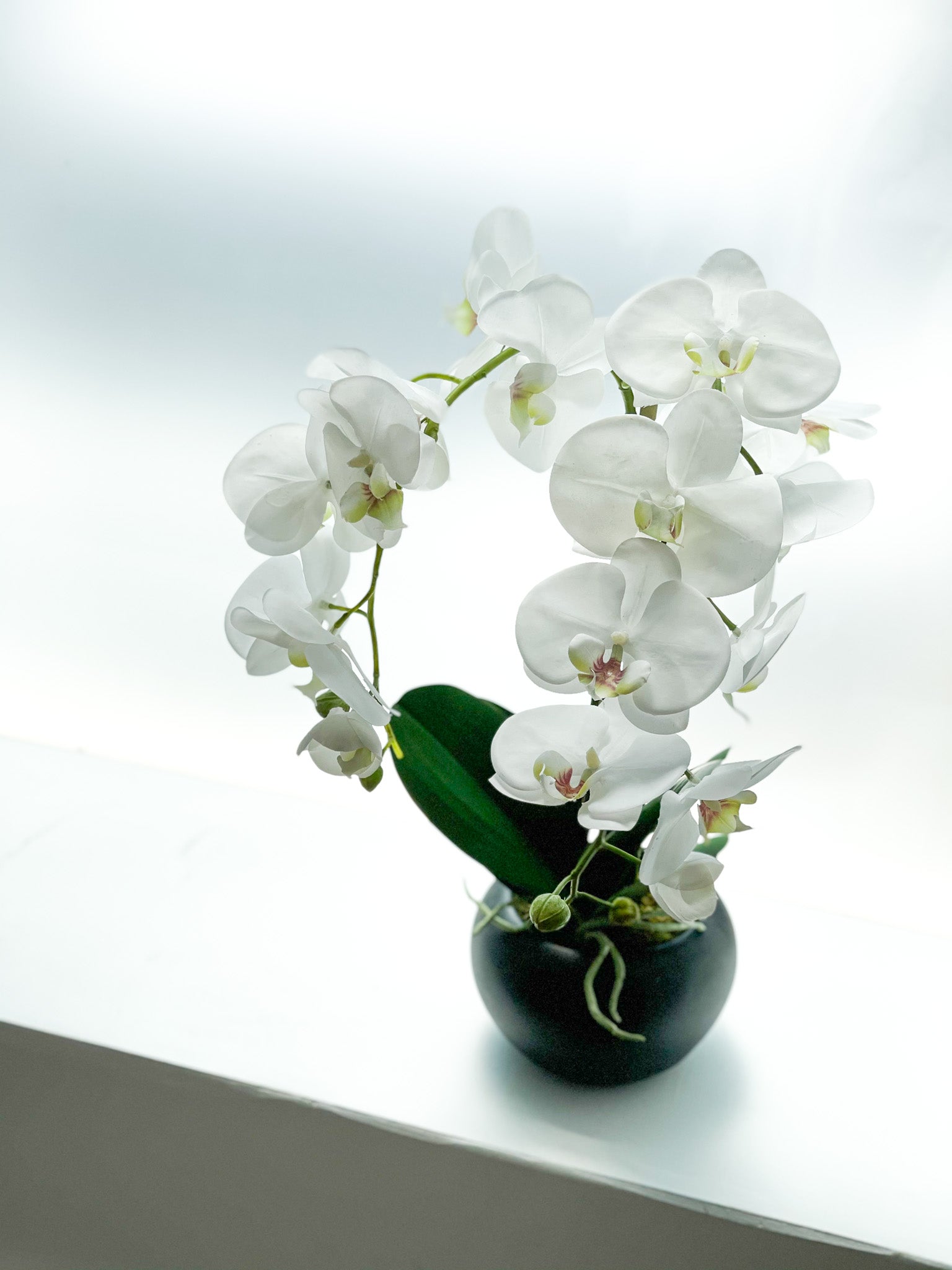 Orchid Flower Arrangement in Round Flower Pot