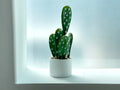 Everlasting Cactus No.4