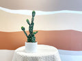 Everlasting Cactus - No.2