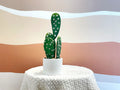 Everlasting Cactus No.4