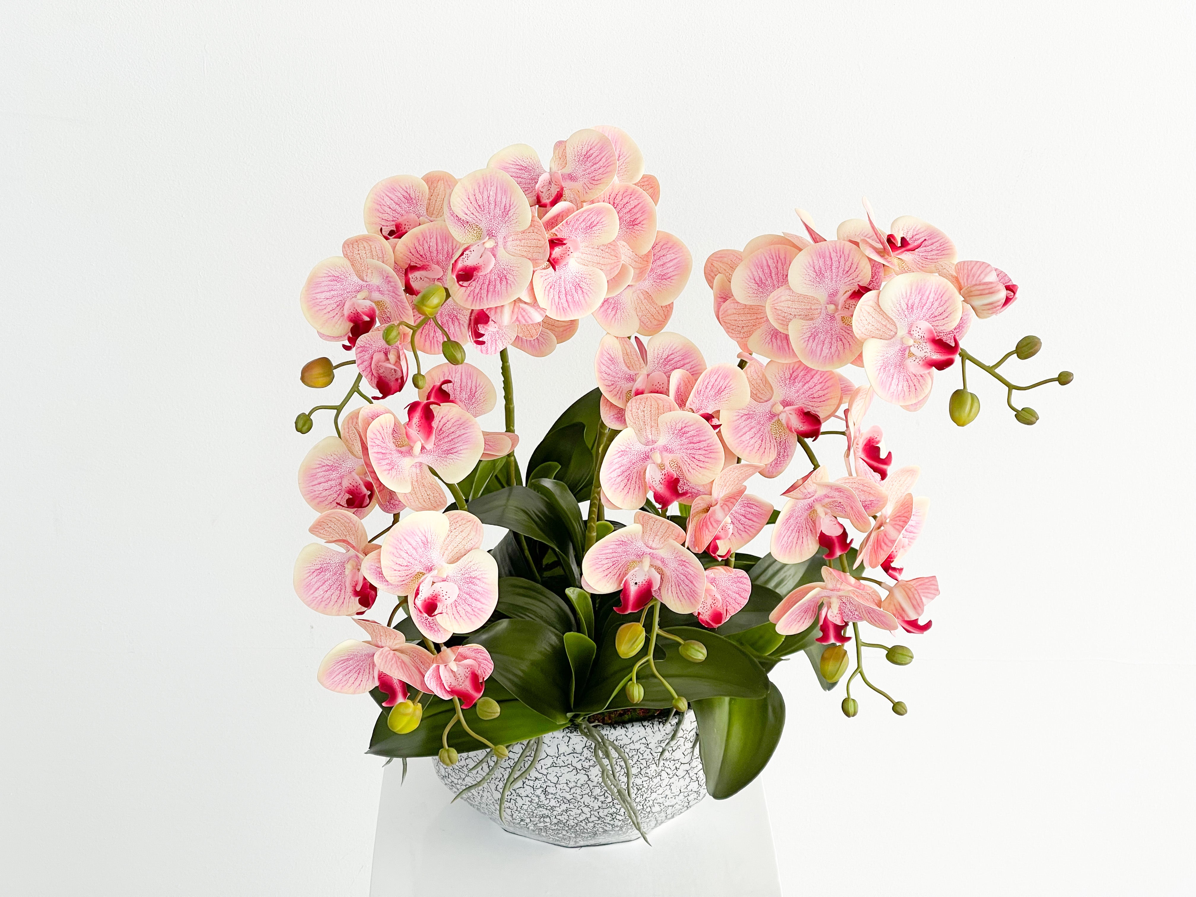 Artificial Blush Orchid Arrangement in Silver Pot