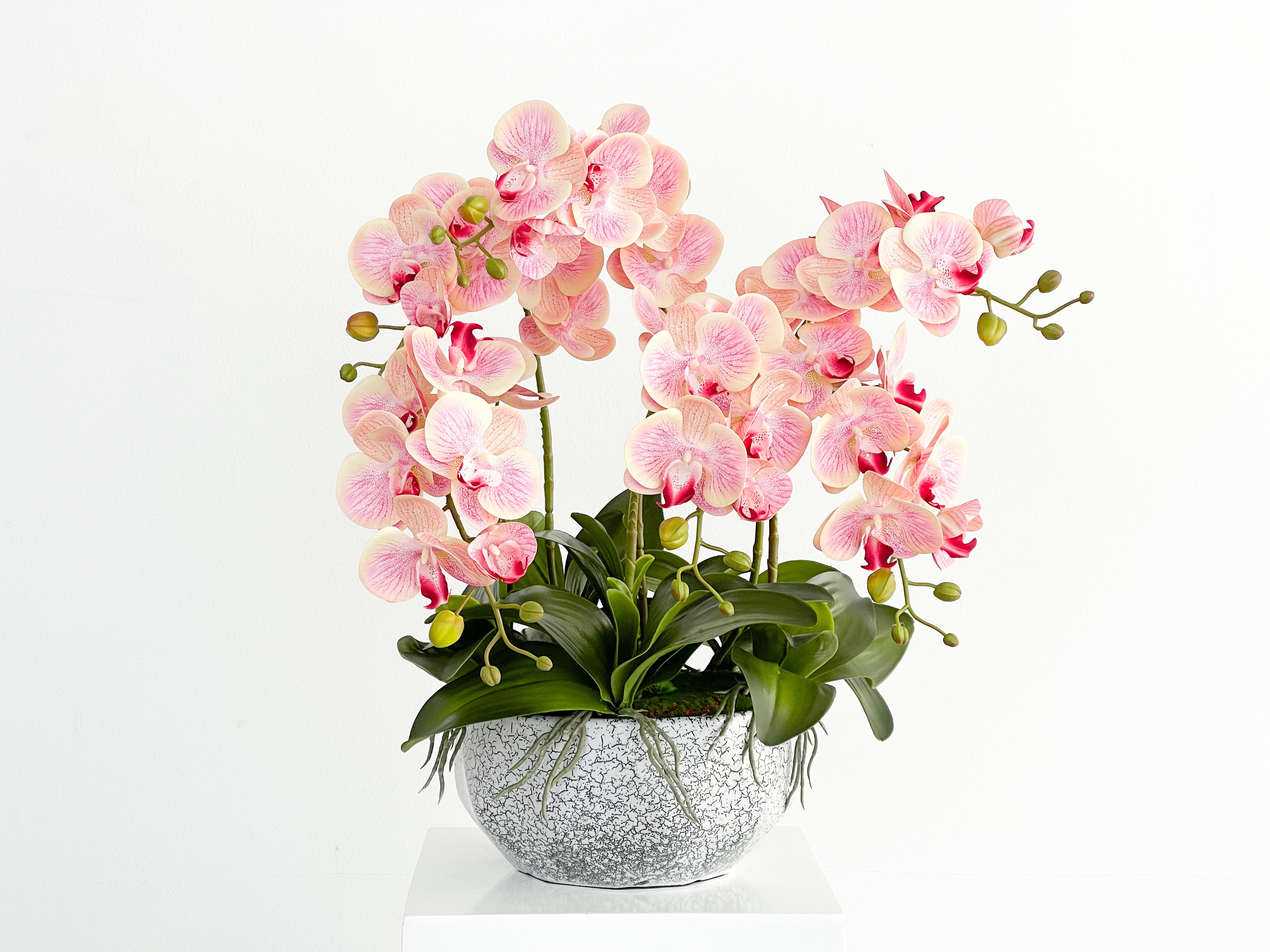 Artificial Blush Orchid Arrangement in Silver Pot