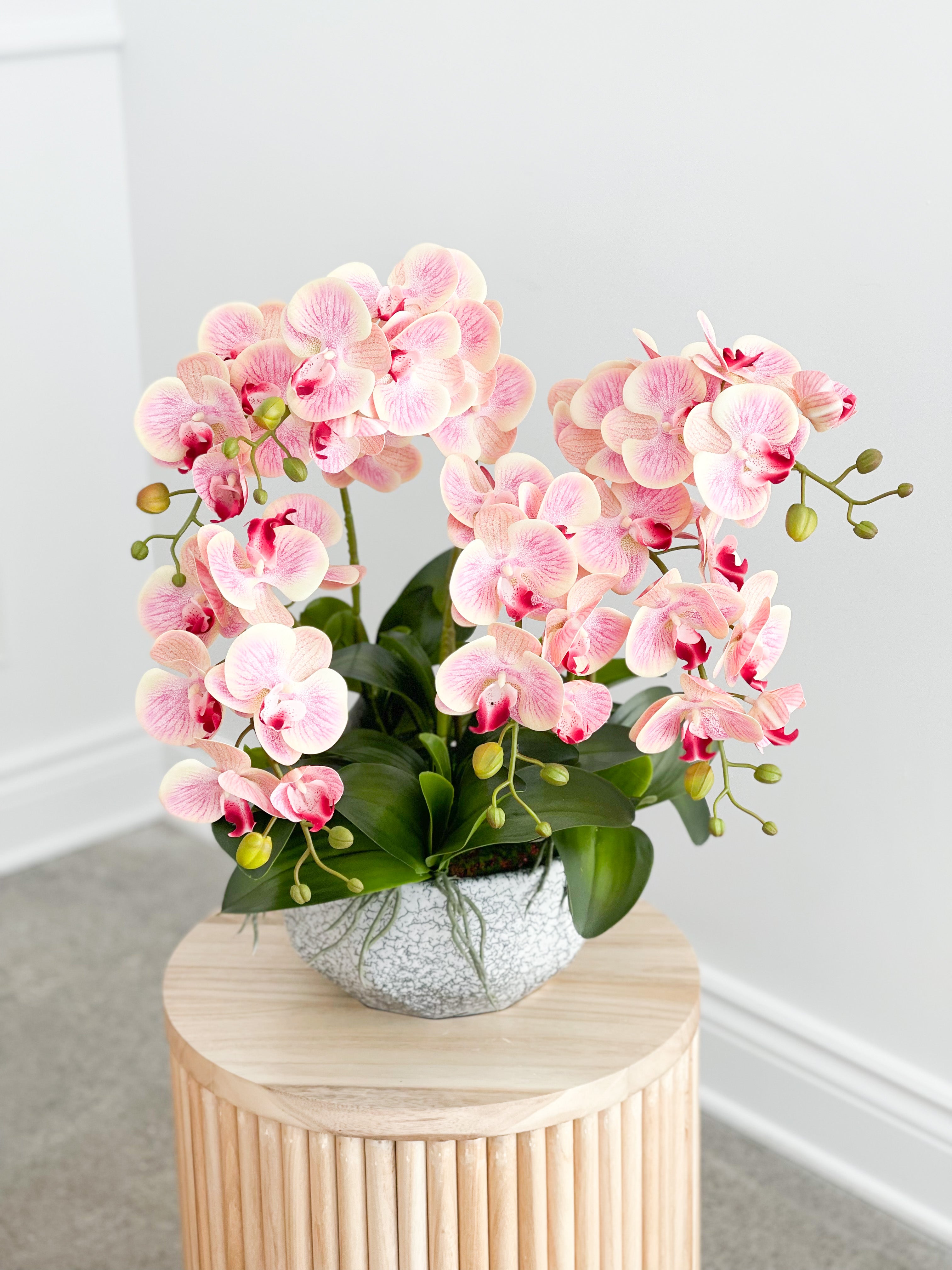 Artificial Blush Orchid Arrangement in Silver Pot